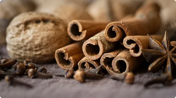 Vinapro Showcases Premium Vietnamese Cassia Cinnamon to Global Partners