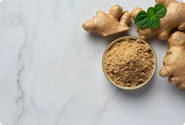 Vinapro Ginger – Premium Herbal Ingredient for Food and Pharma Industries