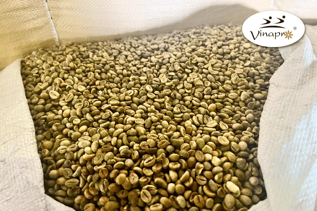Unwashed Robusta Coffee S16 - S18