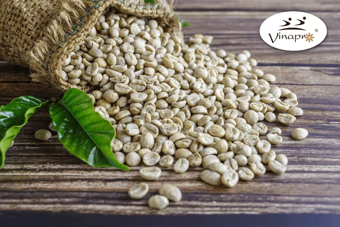 Unwashed Robusta Coffee S16 - S18