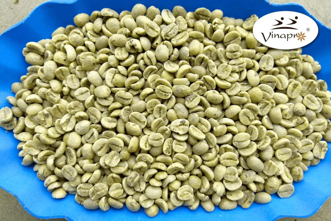 Washed Arabica green coffee beans S16