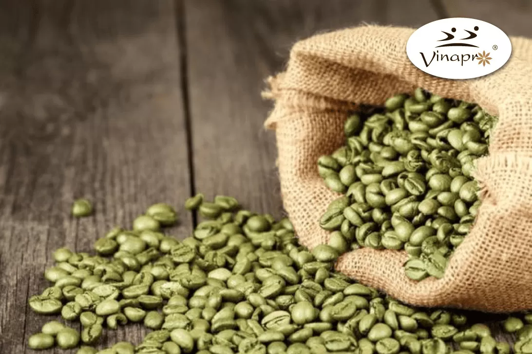 Washed Arabica green coffee beans S16