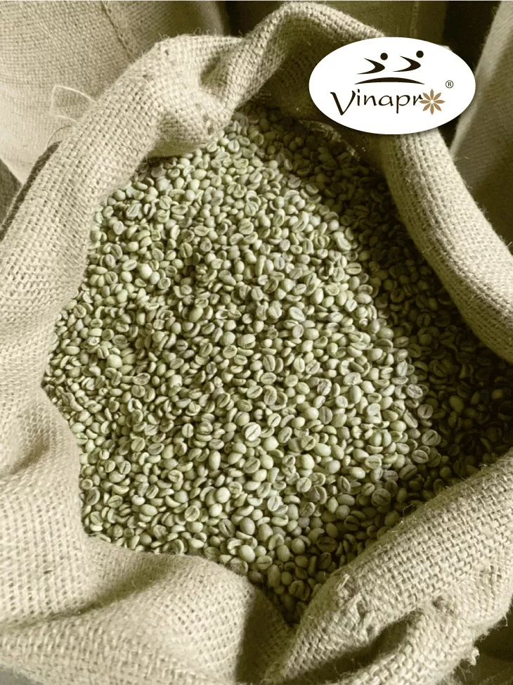 Wet Polished Robusta S18