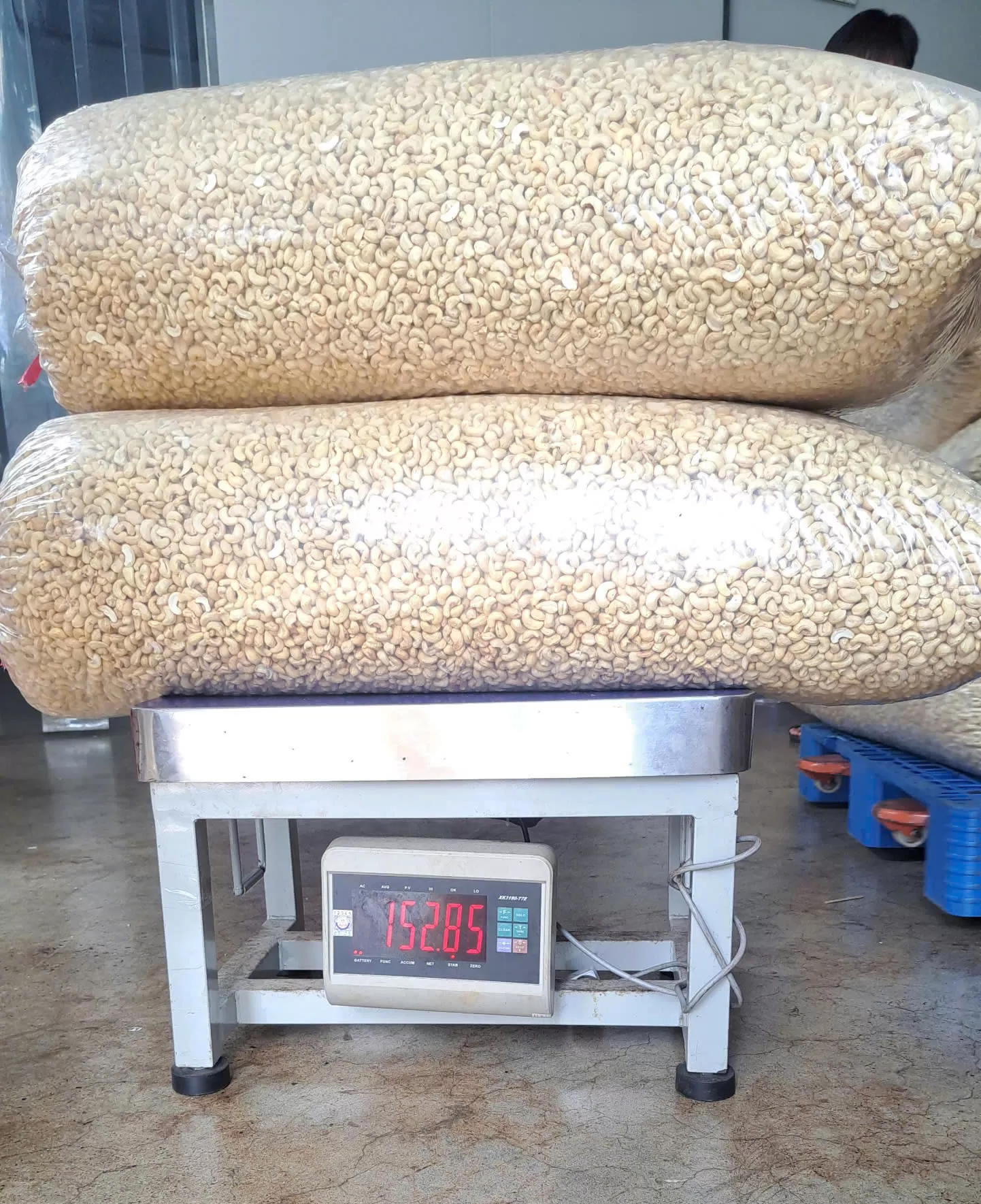 WHITE WHOLE CASHEW NUTS WW320, WW450